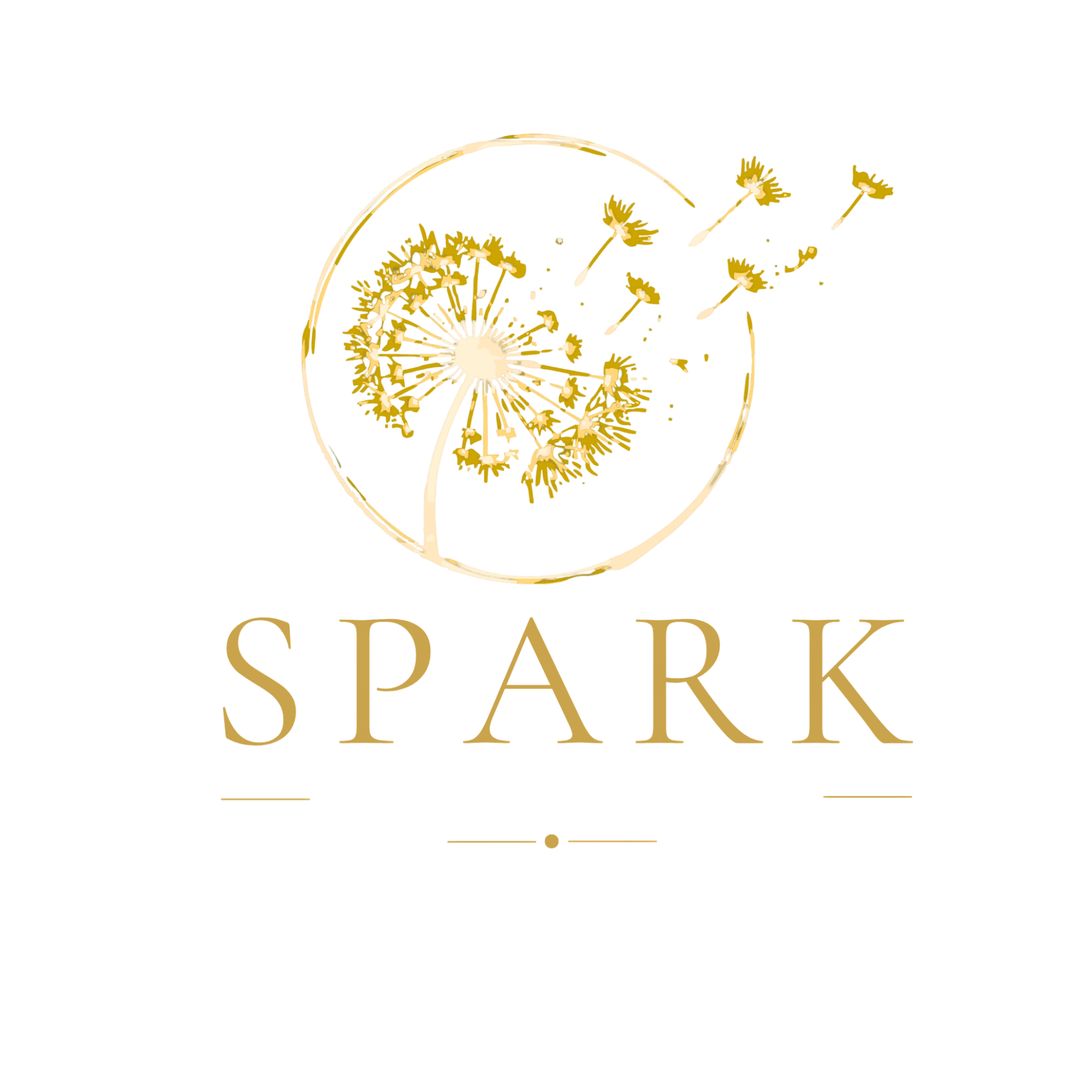 SPARK Sessions